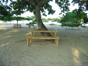 Open Picnic Cottage